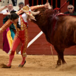Vic-Fesensac (Francia), lunes 21 de mayo de 2018. Toros de Pedraza de Yeltes para Curro Díaz, Daniel Luque y Emilio de Justo