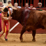 Vic-Fesensac (Francia), lunes 21 de mayo de 2018. Toros de Pedraza de Yeltes para Curro Díaz, Daniel Luque y Emilio de Justo