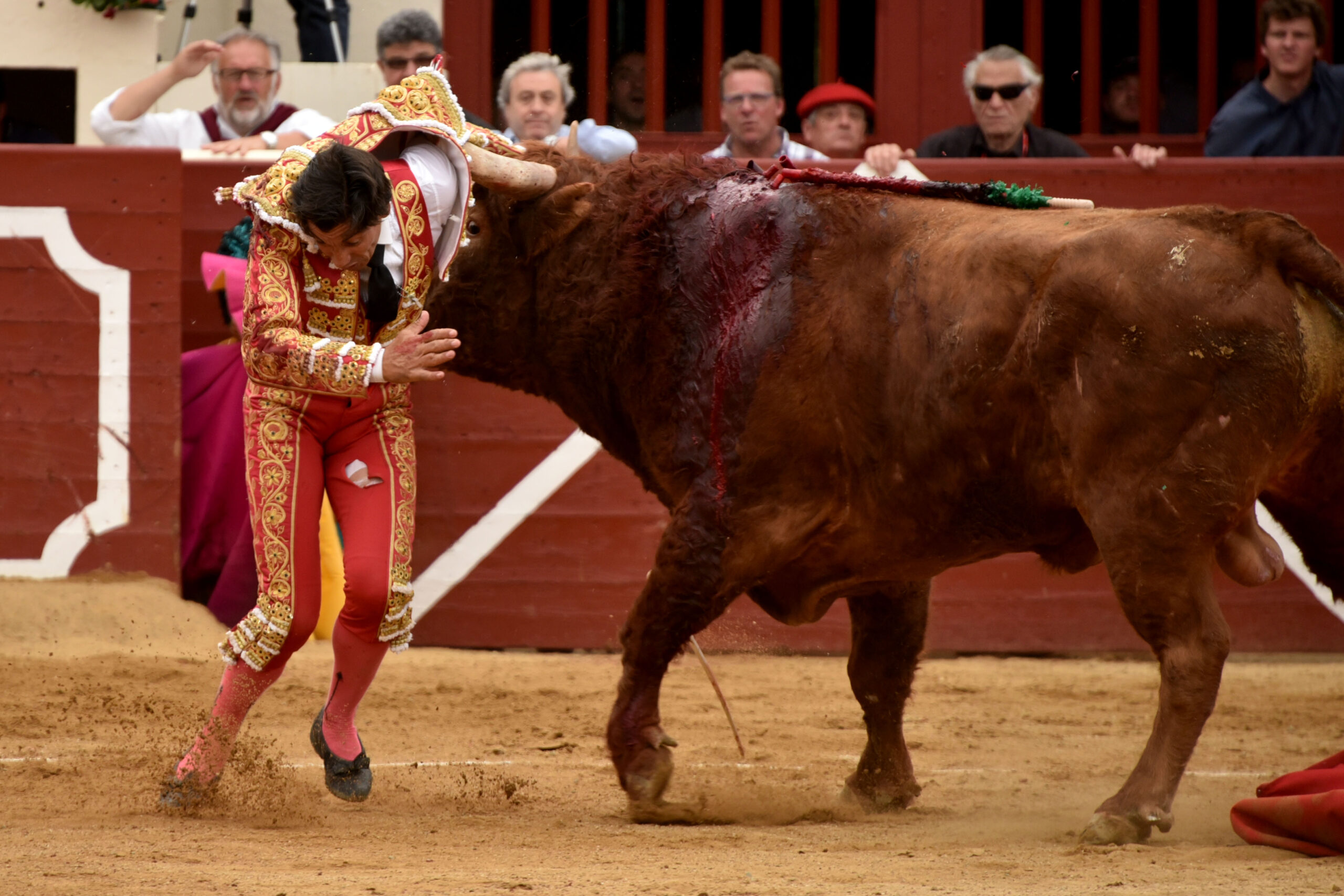 Vic-Fesensac (Francia), lunes 21 de mayo de 2018. Toros de Pedraza de Yeltes para Curro Díaz, Daniel Luque y Emilio de Justo
