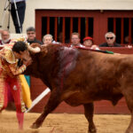 Vic-Fesensac (Francia), lunes 21 de mayo de 2018. Toros de Pedraza de Yeltes para Curro Díaz, Daniel Luque y Emilio de Justo