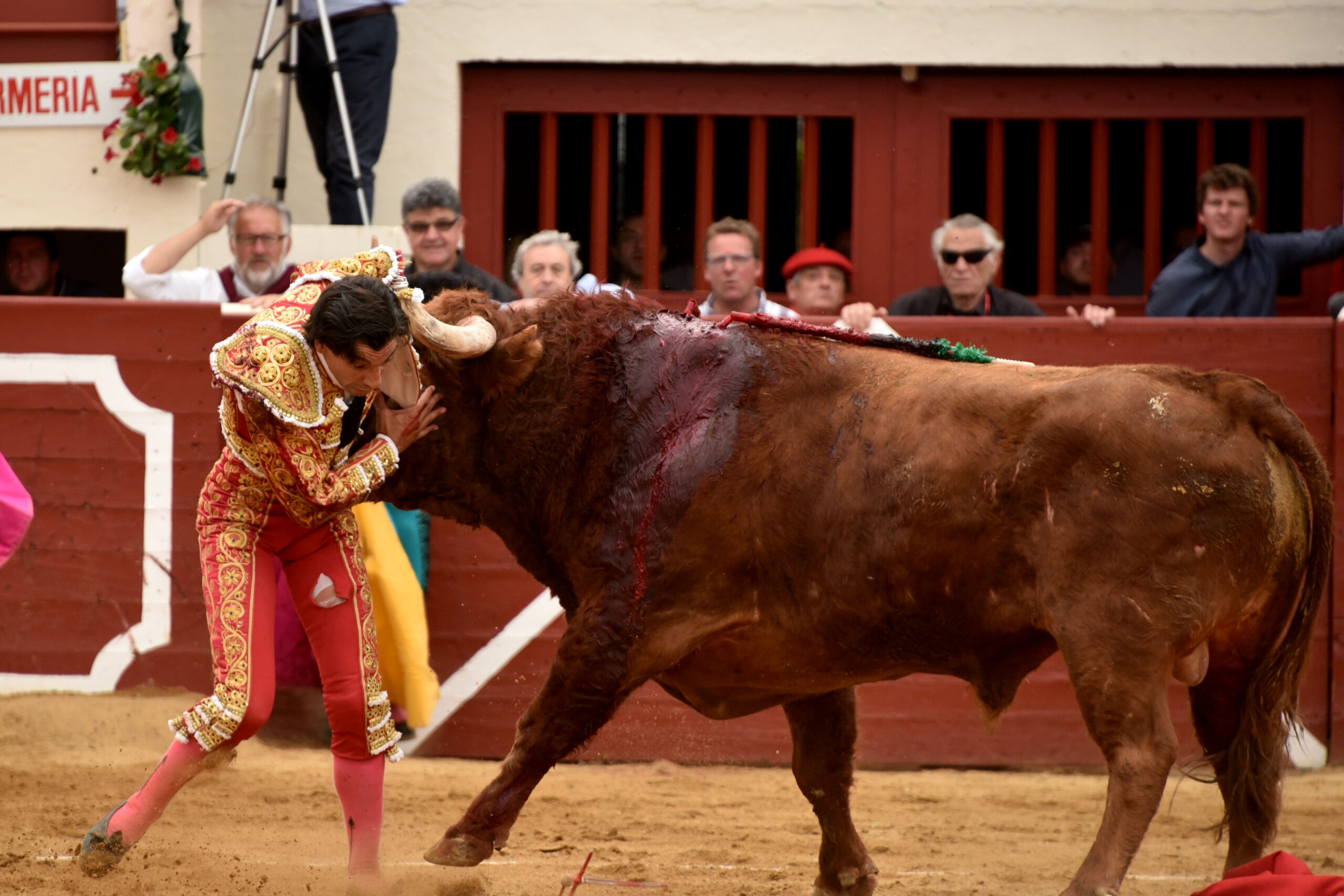 Vic-Fesensac (Francia), lunes 21 de mayo de 2018. Toros de Pedraza de Yeltes para Curro Díaz, Daniel Luque y Emilio de Justo