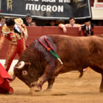 Vic-Fesensac (Francia), lunes 21 de mayo de 2018. Toros de Pedraza de Yeltes para Curro Díaz, Daniel Luque y Emilio de Justo