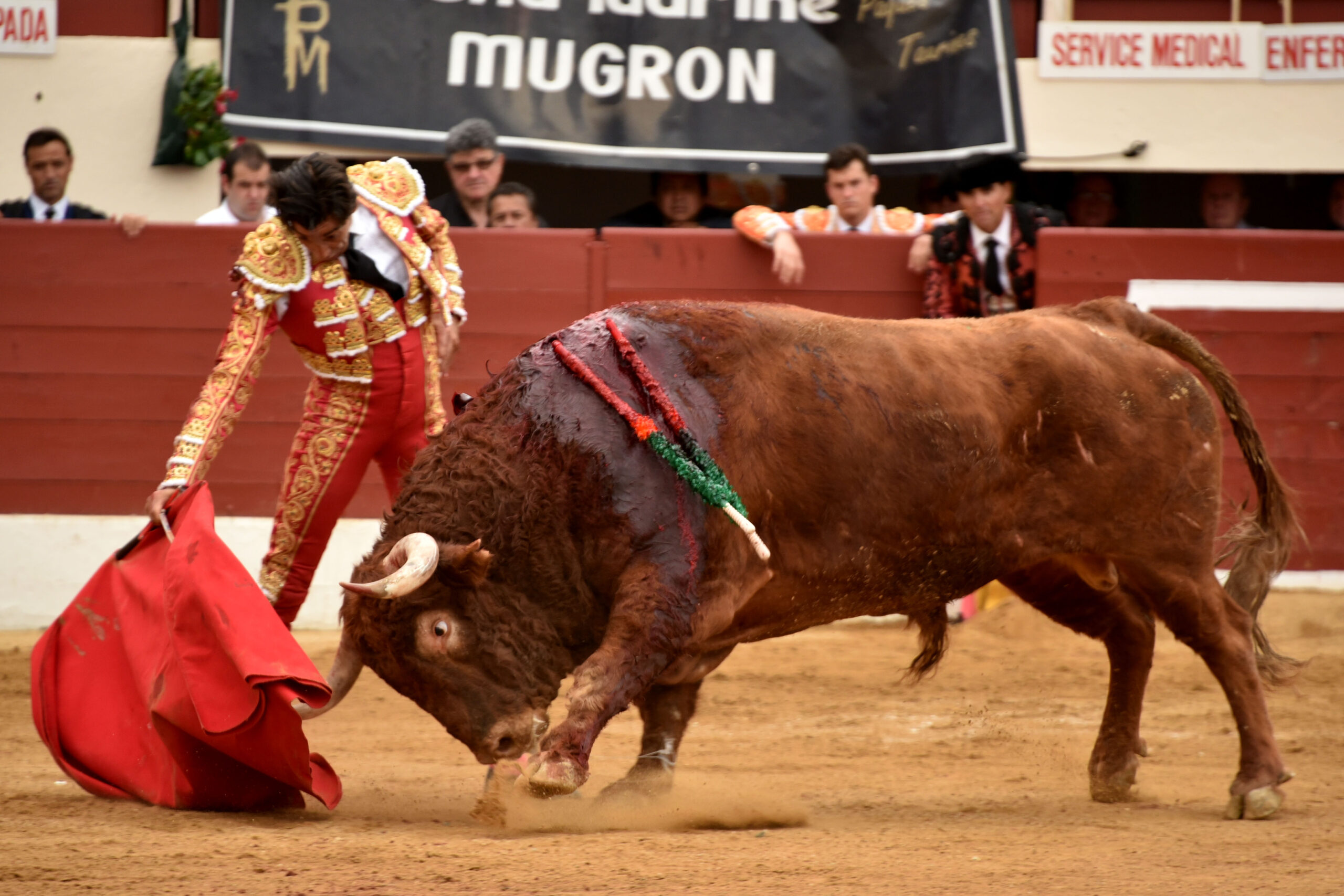 Vic-Fesensac (Francia), lunes 21 de mayo de 2018. Toros de Pedraza de Yeltes para Curro Díaz, Daniel Luque y Emilio de Justo