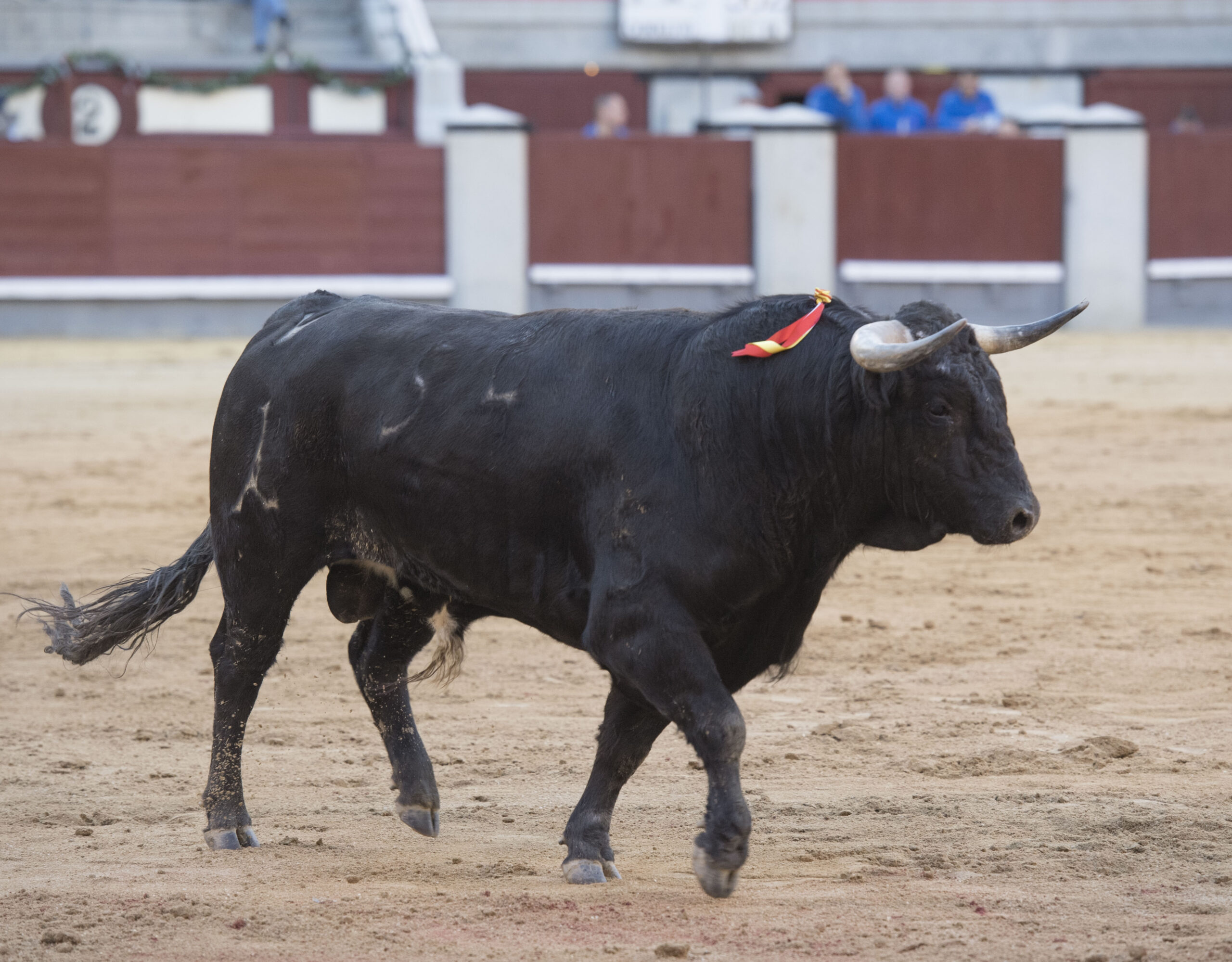 Madrid, martes 1 de mayo de 2018. Feria de la Comunidad