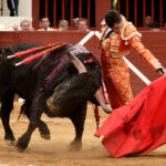 Vic-Fesensac (Francia), lunes 21 de mayo de 2018. Toros de Pedraza de Yeltes para Curro Díaz, Daniel Luque y Emilio de Justo