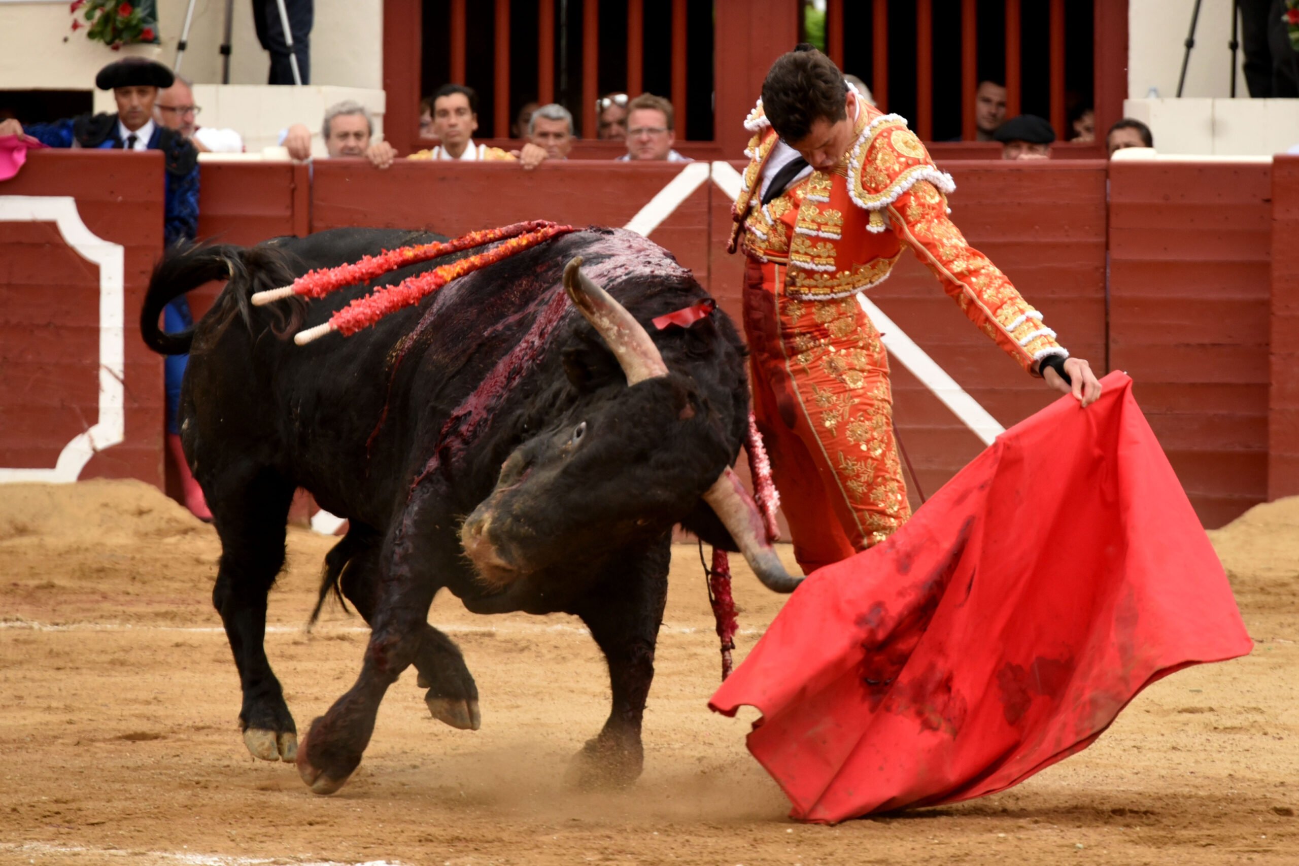 Vic-Fesensac (Francia), lunes 21 de mayo de 2018. Toros de Pedraza de Yeltes para Curro Díaz, Daniel Luque y Emilio de Justo