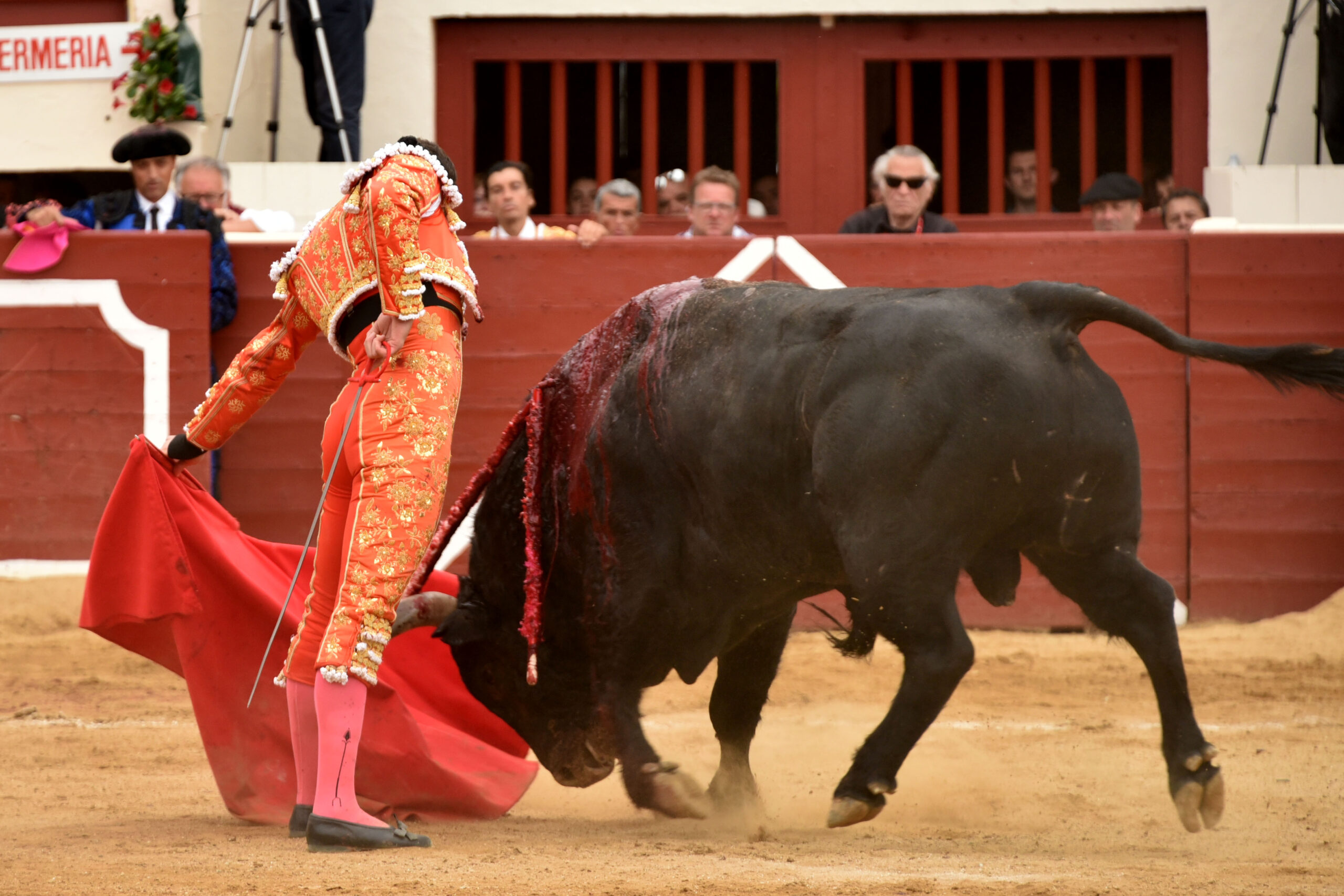 Vic-Fesensac (Francia), lunes 21 de mayo de 2018. Toros de Pedraza de Yeltes para Curro Díaz, Daniel Luque y Emilio de Justo
