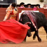 Vic-Fesensac (Francia), lunes 21 de mayo de 2018. Toros de Pedraza de Yeltes para Curro Díaz, Daniel Luque y Emilio de Justo
