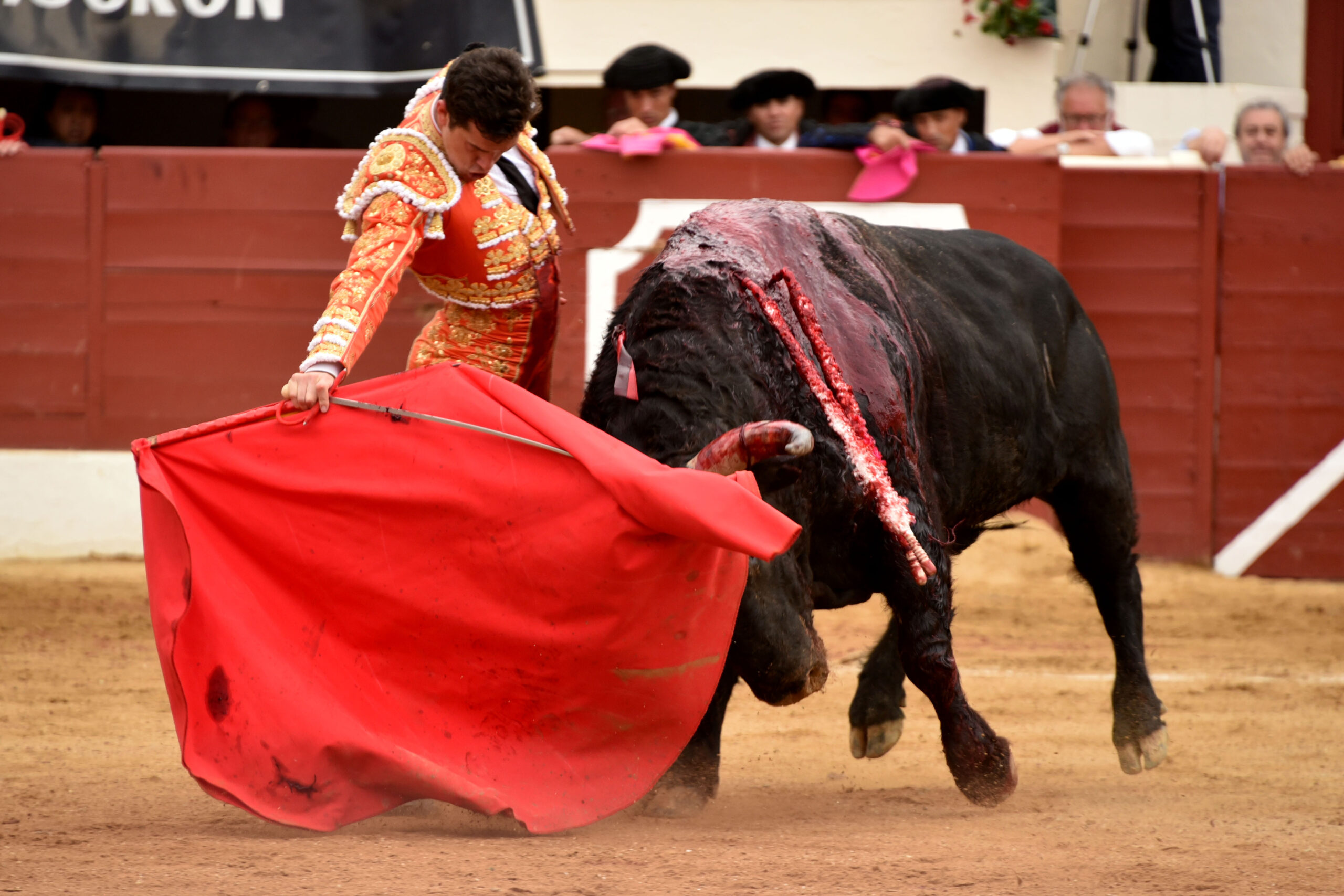 Vic-Fesensac (Francia), lunes 21 de mayo de 2018. Toros de Pedraza de Yeltes para Curro Díaz, Daniel Luque y Emilio de Justo