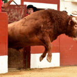 Vic-Fesensac (Francia), lunes 21 de mayo de 2018. Toros de Pedraza de Yeltes para Curro Díaz, Daniel Luque y Emilio de Justo