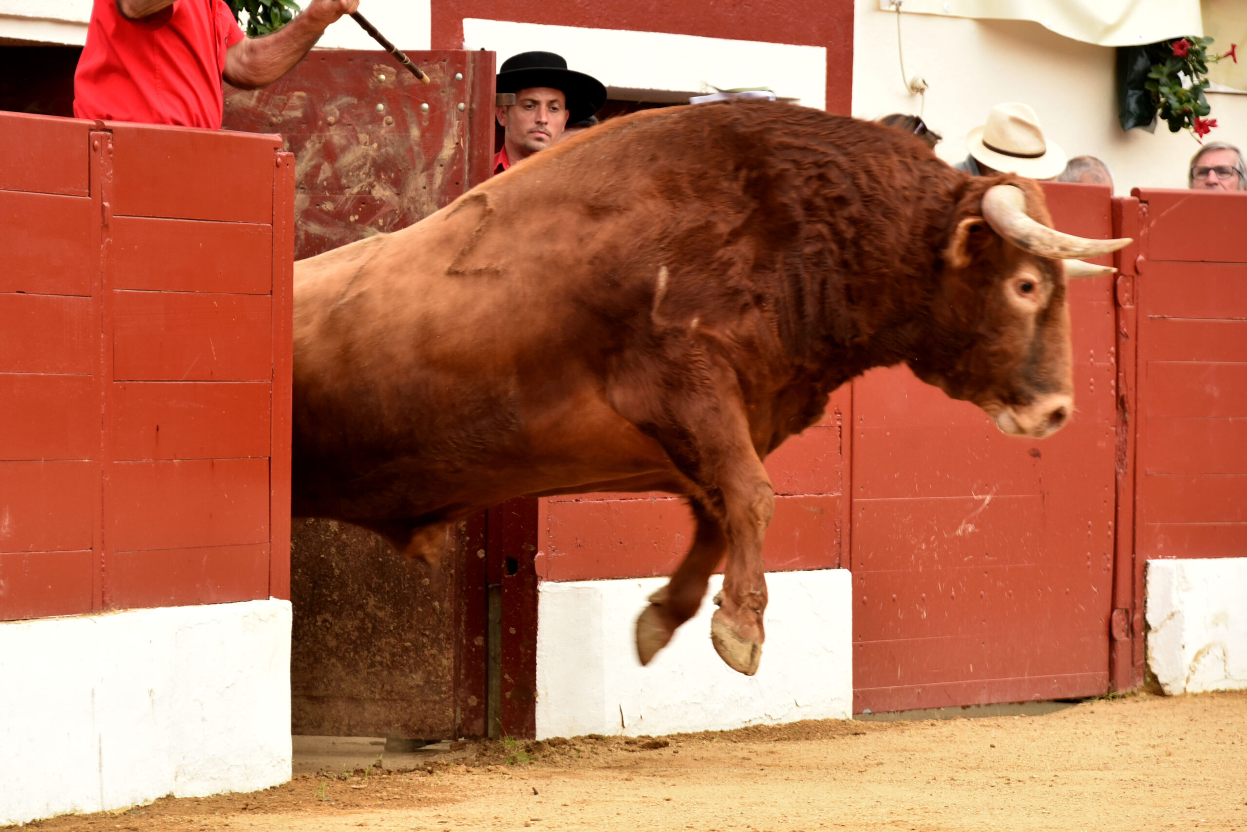 Vic-Fesensac (Francia), lunes 21 de mayo de 2018. Toros de Pedraza de Yeltes para Curro Díaz, Daniel Luque y Emilio de Justo