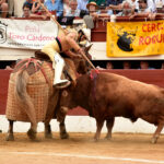 Vic-Fesensac (Francia), lunes 21 de mayo de 2018. Toros de Pedraza de Yeltes para Curro Díaz, Daniel Luque y Emilio de Justo
