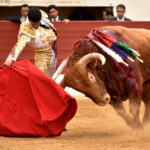 Vic-Fesensac (Francia), lunes 21 de mayo de 2018. Toros de Pedraza de Yeltes para Curro Díaz, Daniel Luque y Emilio de Justo