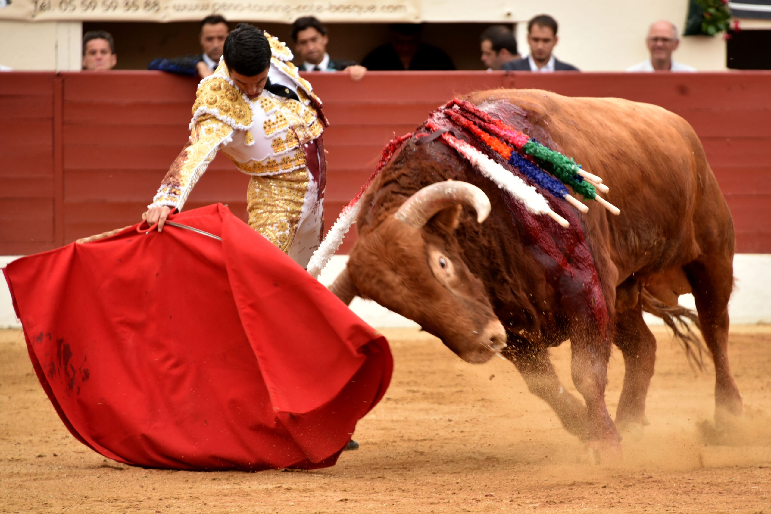 Vic-Fesensac (Francia), lunes 21 de mayo de 2018. Toros de Pedraza de Yeltes para Curro Díaz, Daniel Luque y Emilio de Justo