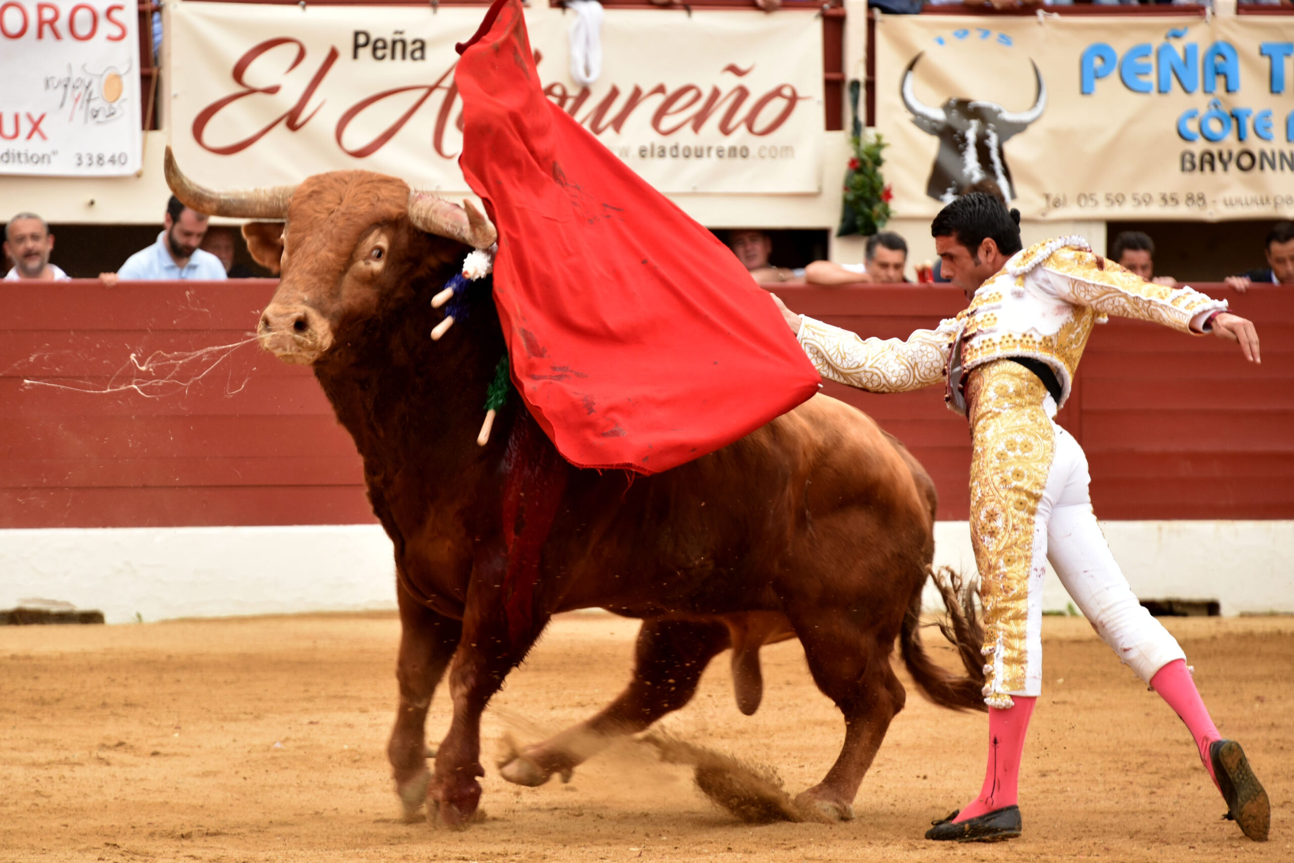 Vic-Fesensac (Francia), lunes 21 de mayo de 2018. Toros de Pedraza de Yeltes para Curro Díaz, Daniel Luque y Emilio de Justo