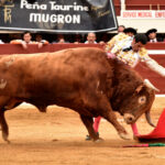 Vic-Fesensac (Francia), lunes 21 de mayo de 2018. Toros de Pedraza de Yeltes para Curro Díaz, Daniel Luque y Emilio de Justo