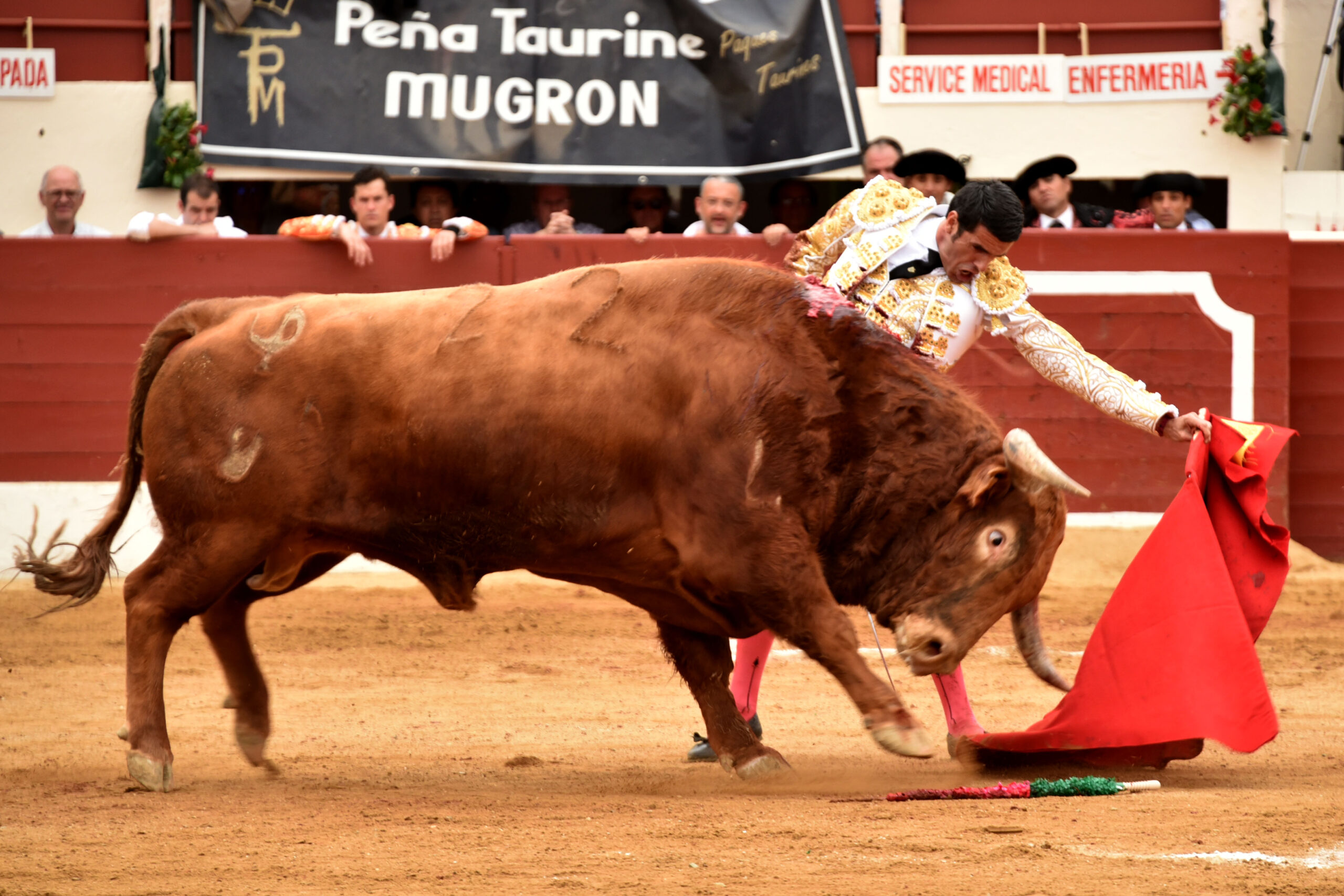 Vic-Fesensac (Francia), lunes 21 de mayo de 2018. Toros de Pedraza de Yeltes para Curro Díaz, Daniel Luque y Emilio de Justo