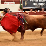 Vic-Fesensac (Francia), lunes 21 de mayo de 2018. Toros de Pedraza de Yeltes para Curro Díaz, Daniel Luque y Emilio de Justo