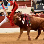 Vic-Fesensac (Francia), lunes 21 de mayo de 2018. Toros de Pedraza de Yeltes para Curro Díaz, Daniel Luque y Emilio de Justo