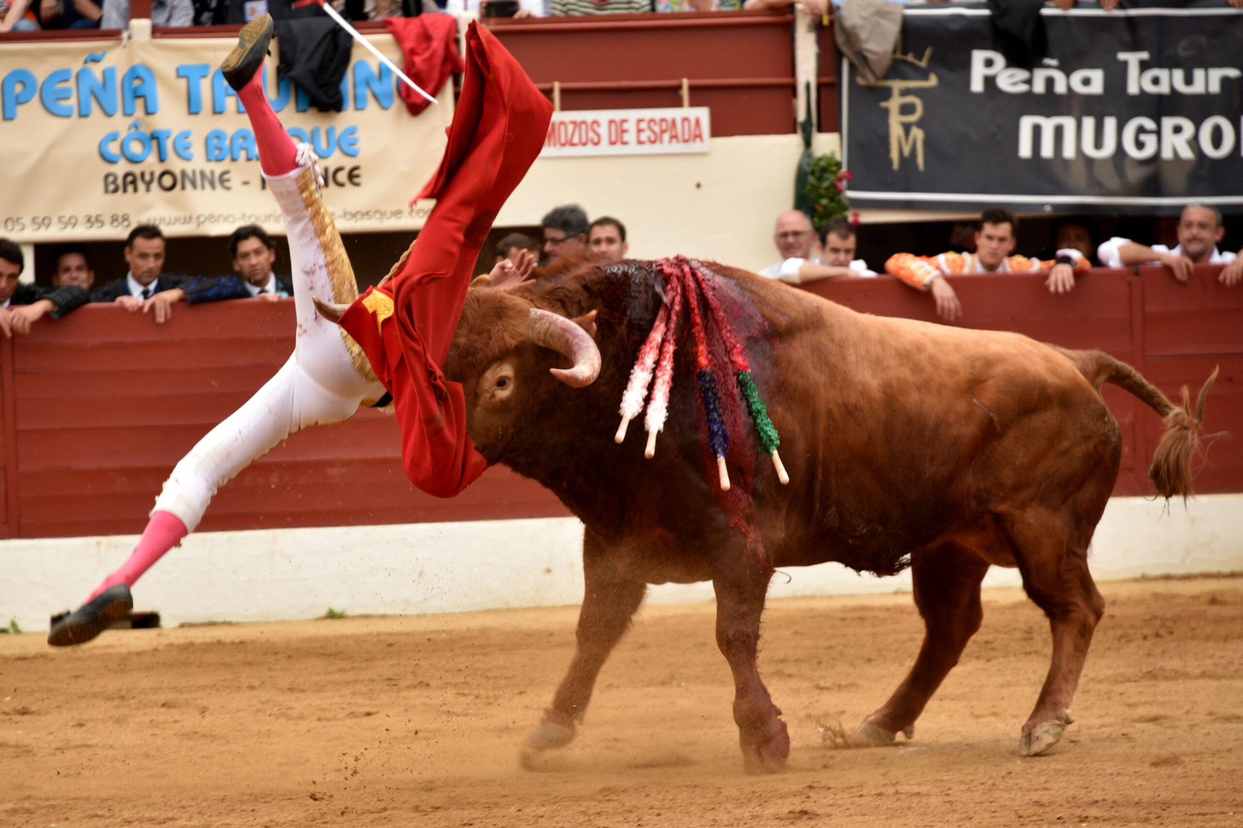 Vic-Fesensac (Francia), lunes 21 de mayo de 2018. Toros de Pedraza de Yeltes para Curro Díaz, Daniel Luque y Emilio de Justo