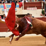 Vic-Fesensac (Francia), lunes 21 de mayo de 2018. Toros de Pedraza de Yeltes para Curro Díaz, Daniel Luque y Emilio de Justo