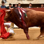 Vic-Fesensac (Francia), lunes 21 de mayo de 2018. Toros de Pedraza de Yeltes para Curro Díaz, Daniel Luque y Emilio de Justo
