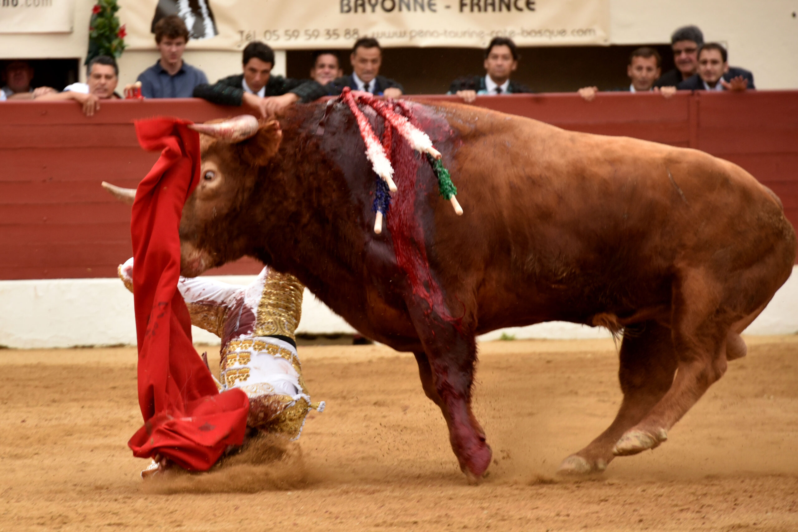 Vic-Fesensac (Francia), lunes 21 de mayo de 2018. Toros de Pedraza de Yeltes para Curro Díaz, Daniel Luque y Emilio de Justo