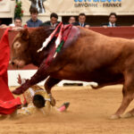 Vic-Fesensac (Francia), lunes 21 de mayo de 2018. Toros de Pedraza de Yeltes para Curro Díaz, Daniel Luque y Emilio de Justo