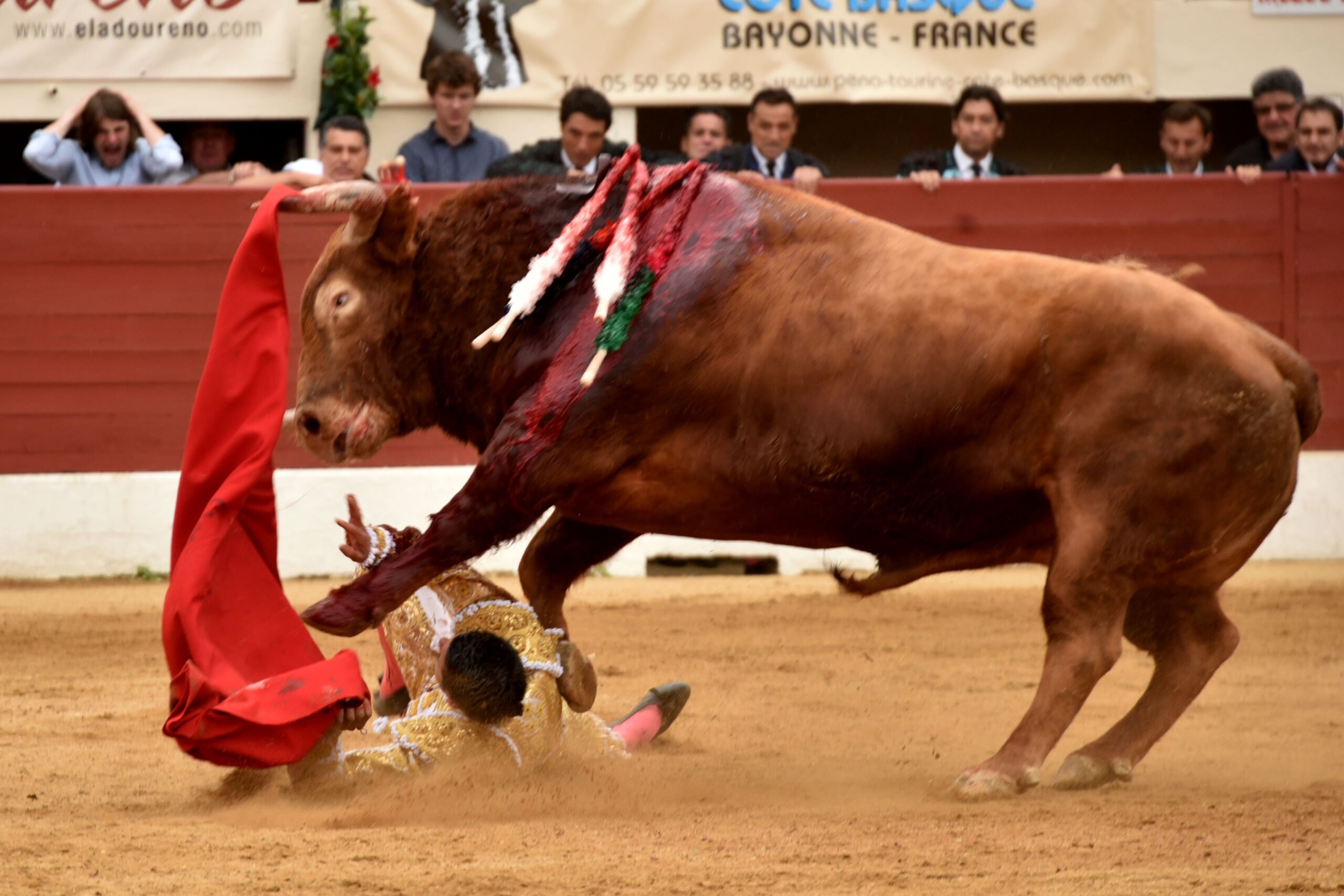 Vic-Fesensac (Francia), lunes 21 de mayo de 2018. Toros de Pedraza de Yeltes para Curro Díaz, Daniel Luque y Emilio de Justo