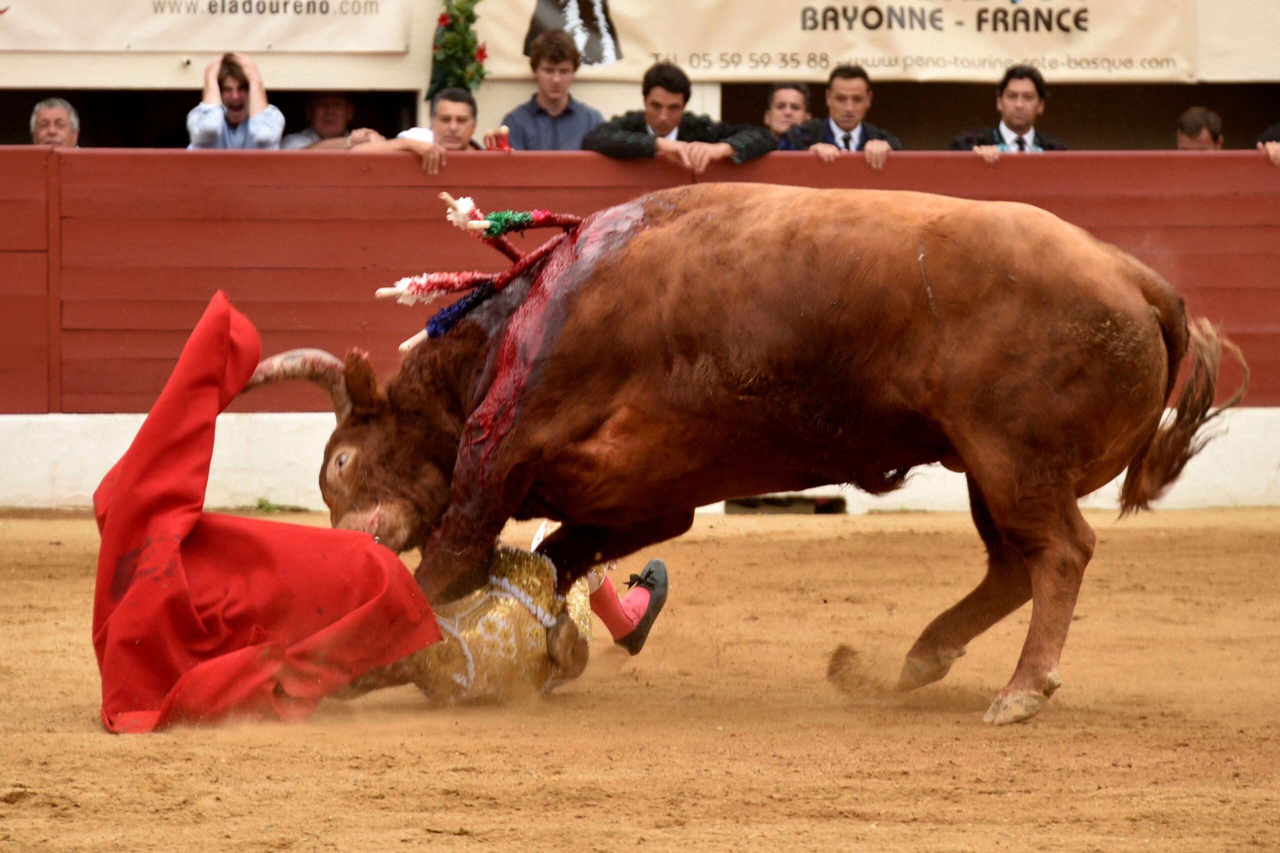 Vic-Fesensac (Francia), lunes 21 de mayo de 2018. Toros de Pedraza de Yeltes para Curro Díaz, Daniel Luque y Emilio de Justo