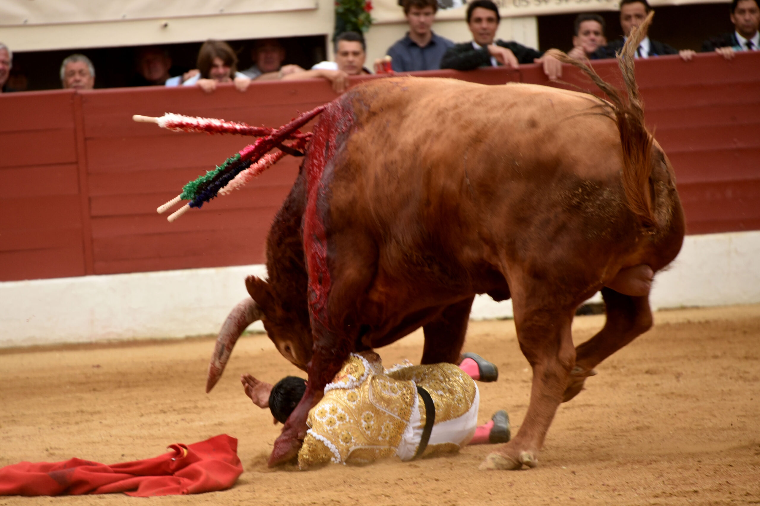 Vic-Fesensac (Francia), lunes 21 de mayo de 2018. Toros de Pedraza de Yeltes para Curro Díaz, Daniel Luque y Emilio de Justo