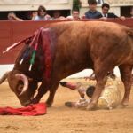 Vic-Fesensac (Francia), lunes 21 de mayo de 2018. Toros de Pedraza de Yeltes para Curro Díaz, Daniel Luque y Emilio de Justo