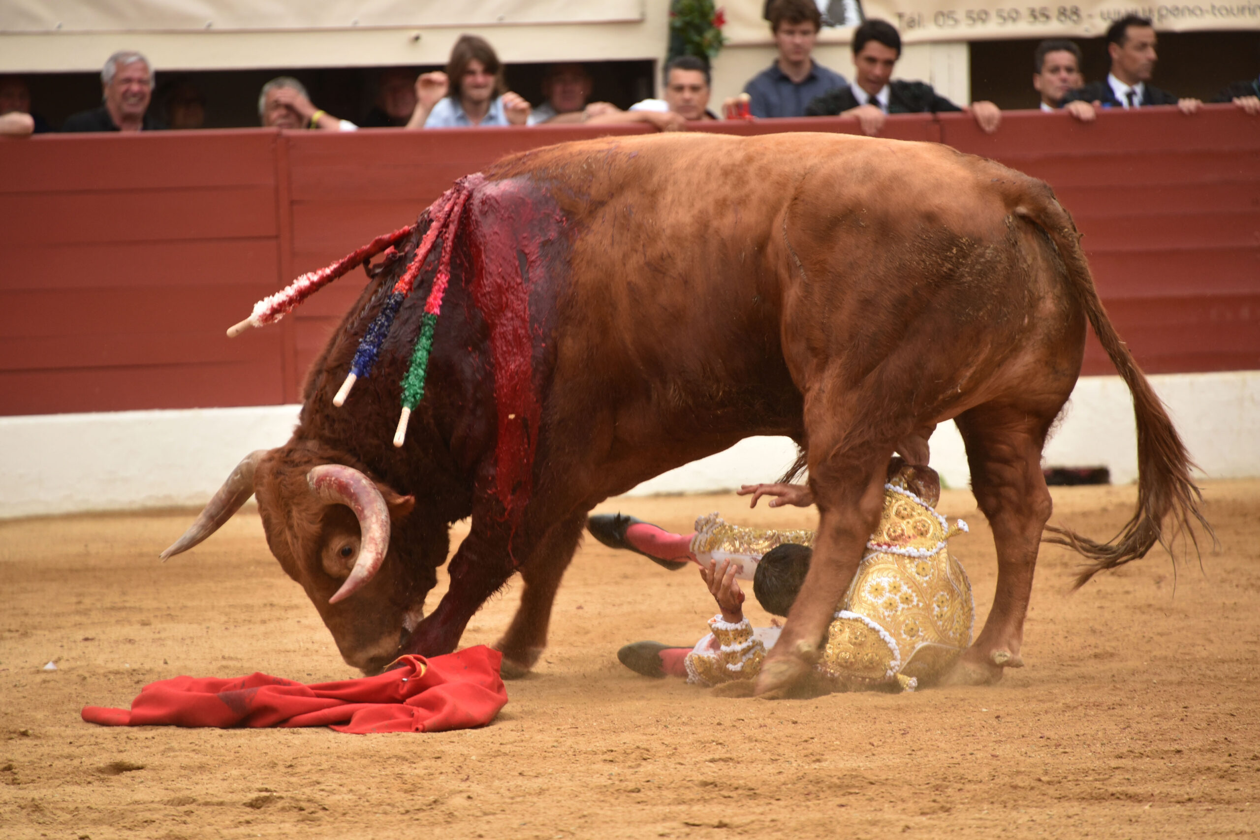 Vic-Fesensac (Francia), lunes 21 de mayo de 2018. Toros de Pedraza de Yeltes para Curro Díaz, Daniel Luque y Emilio de Justo