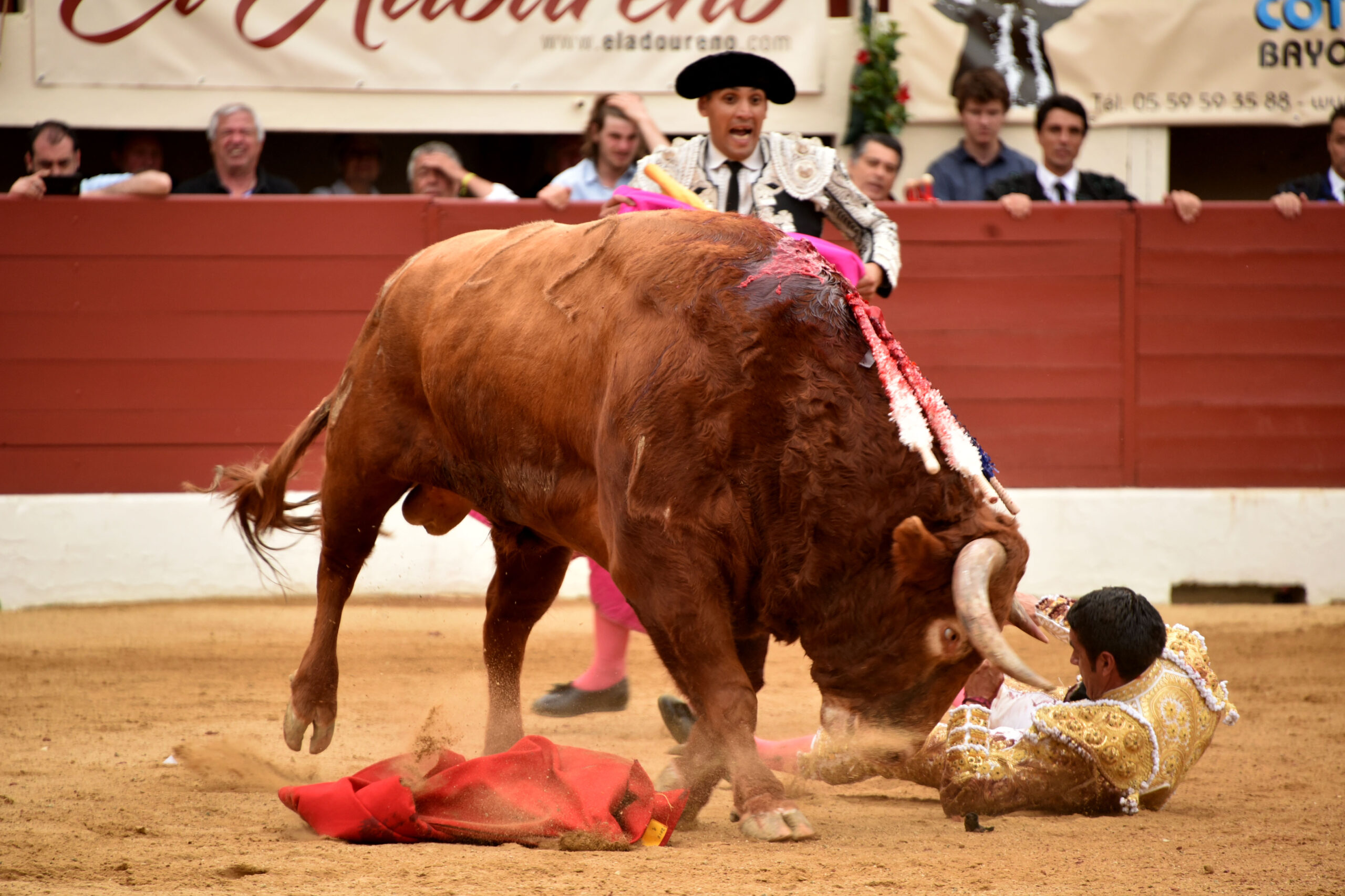 Vic-Fesensac (Francia), lunes 21 de mayo de 2018. Toros de Pedraza de Yeltes para Curro Díaz, Daniel Luque y Emilio de Justo
