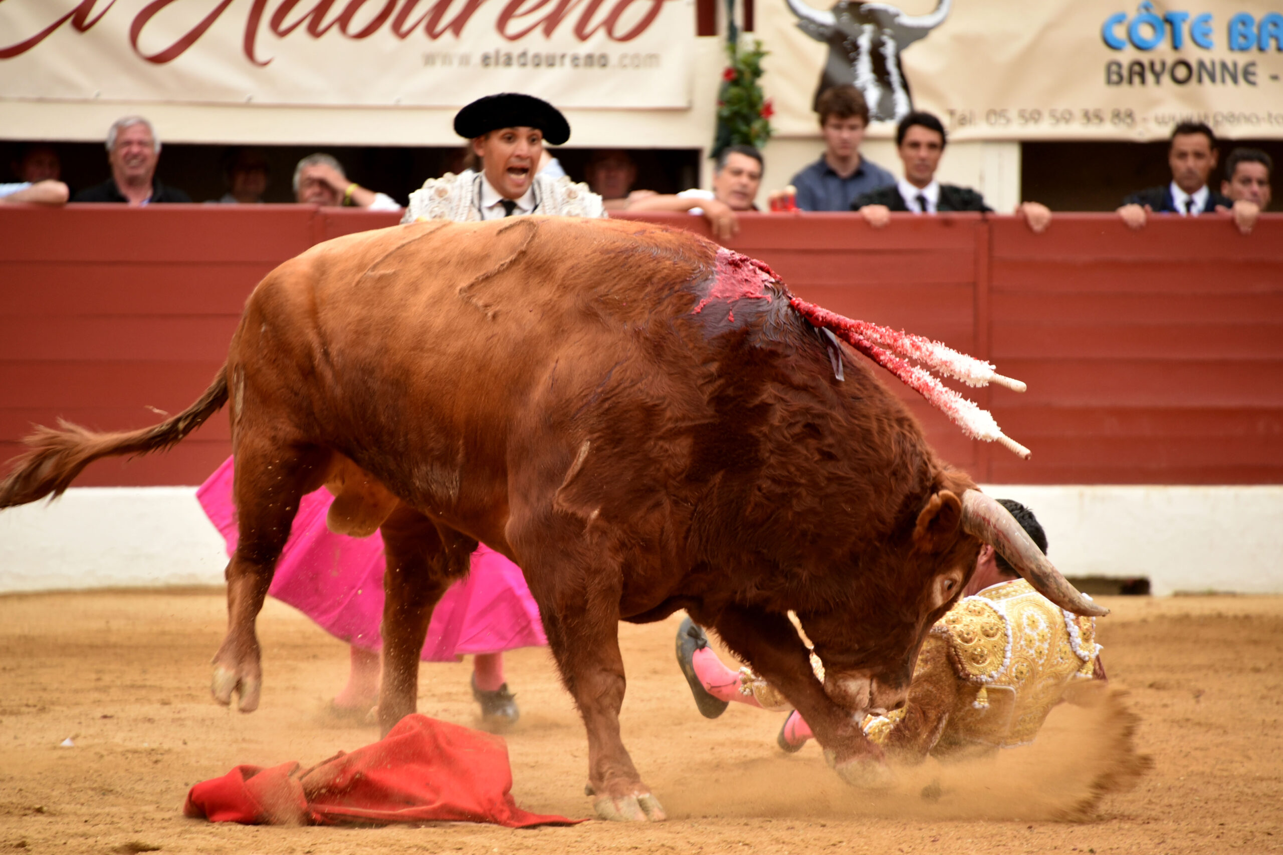 Vic-Fesensac (Francia), lunes 21 de mayo de 2018. Toros de Pedraza de Yeltes para Curro Díaz, Daniel Luque y Emilio de Justo