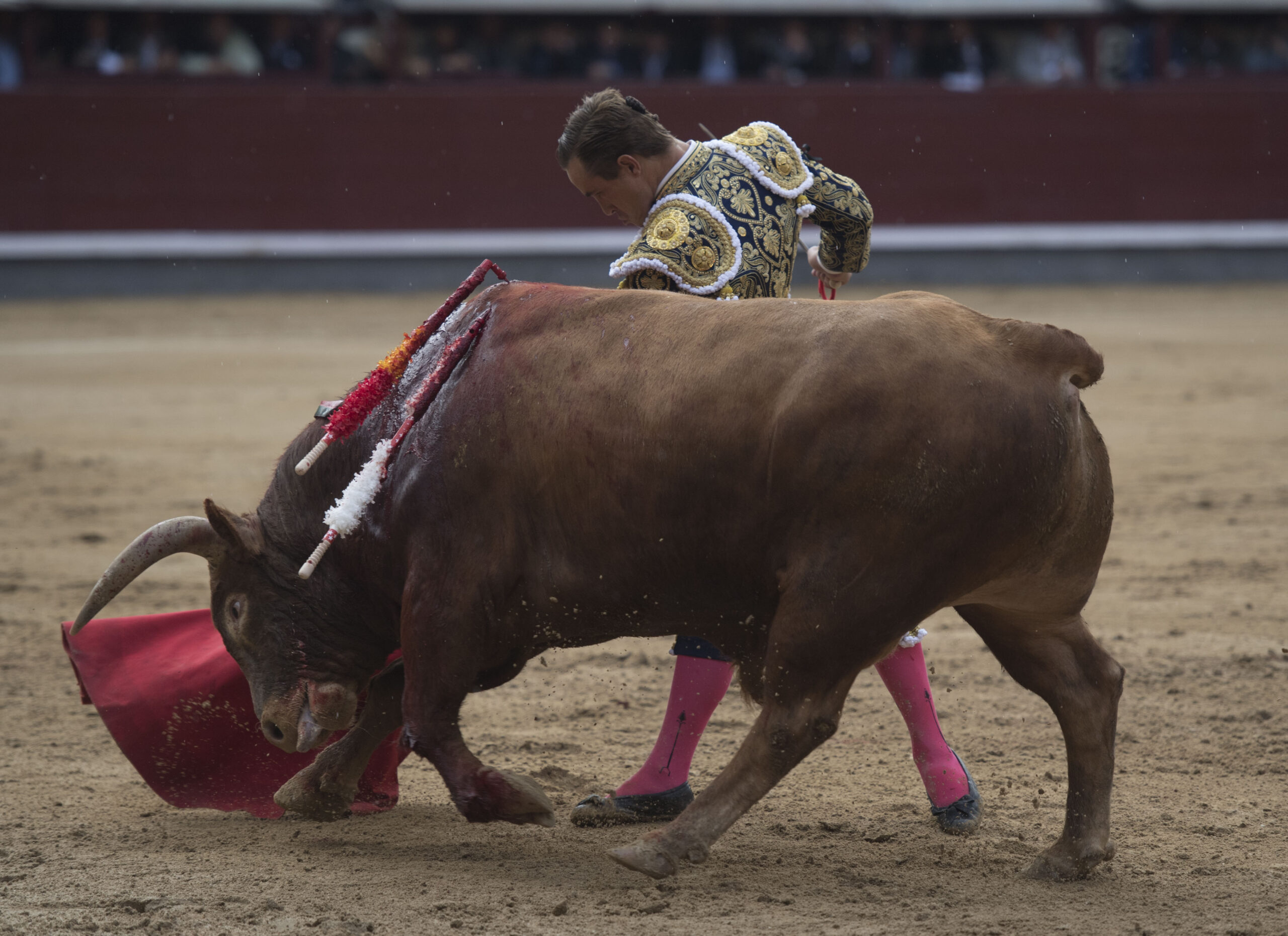 Madrid - Feria de San Isidro - Corrida de toros - Viernes 25 de mayo de 2018