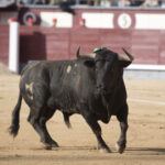 Madrid - Feria de San Isidro - Corrida de toros - Viernes 25 de mayo de 2018