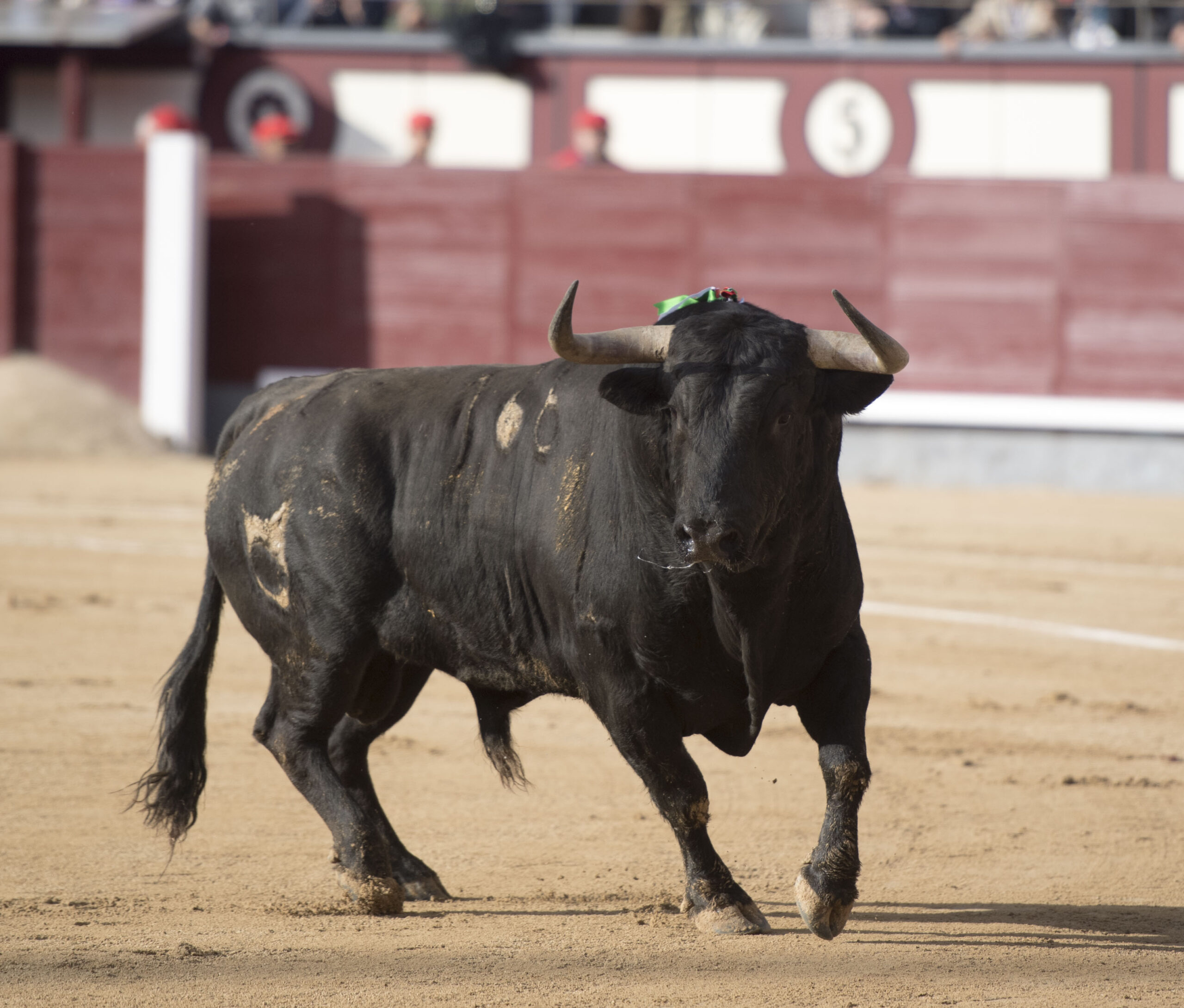 Madrid - Feria de San Isidro - Corrida de toros - Viernes 25 de mayo de 2018