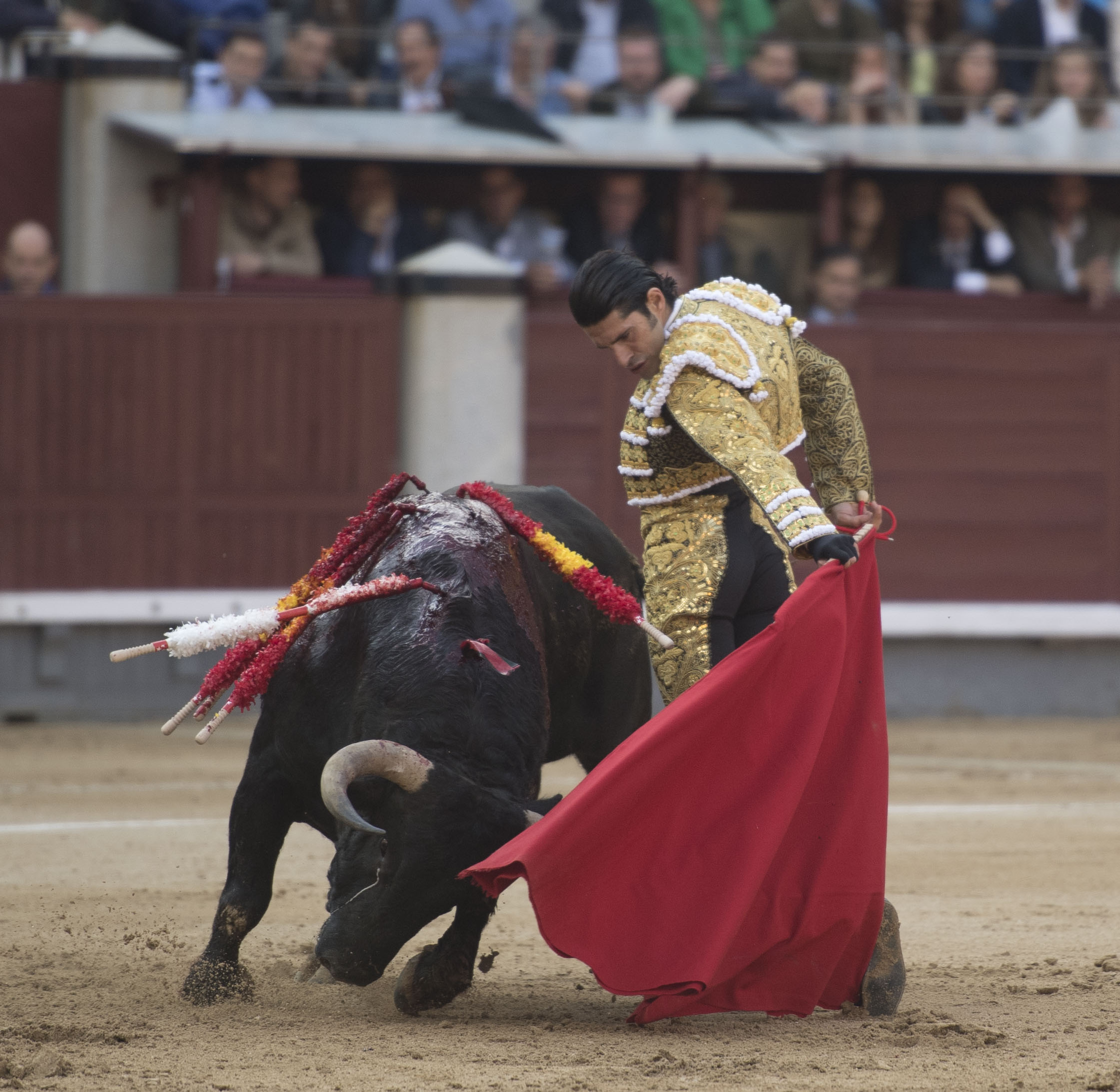 Madrid - Feria de San Isidro - Corrida de toros - Viernes 25 de mayo de 2018