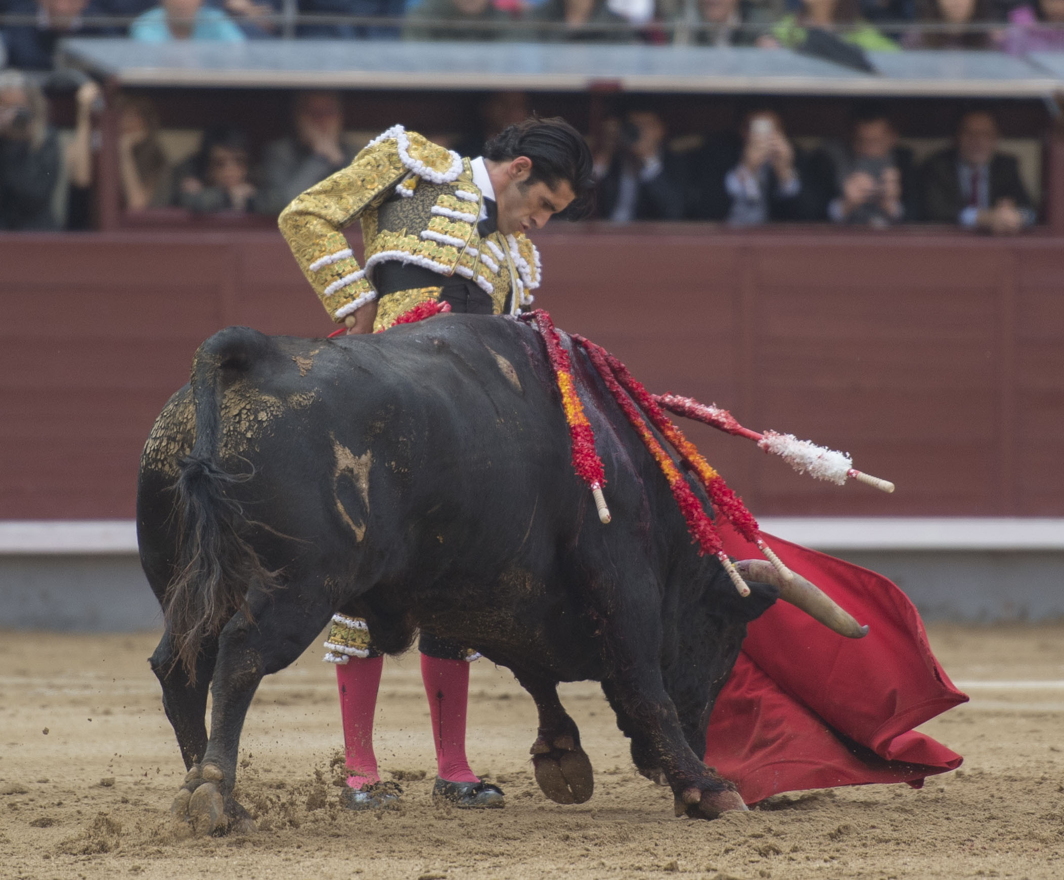 Madrid - Feria de San Isidro - Corrida de toros - Viernes 25 de mayo de 2018