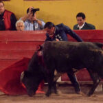 Aguascalientes (México), lunes 30 de abril de 2018. Festival Plaza San Marcos