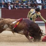 Madrid, 19 de mayo de 2018