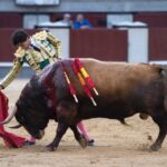 Madrid, 19 de mayo de 2018