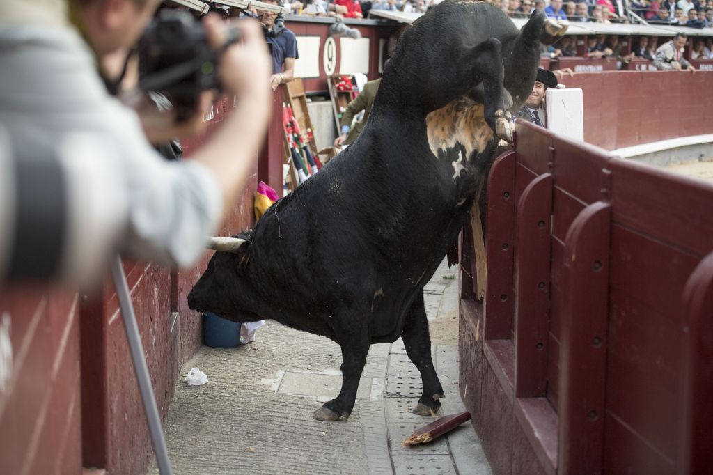 Madrid - Feria de San Isidro - Corrida de rejones - Domingo 20 de mayo de 2018