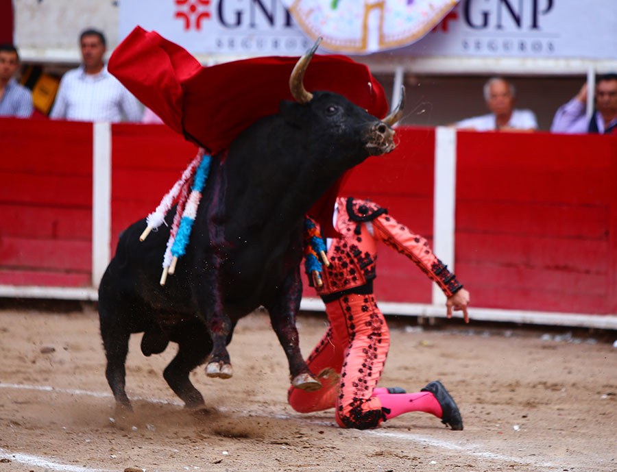 Aguascalientes, sabado 5 de mayo de 2018