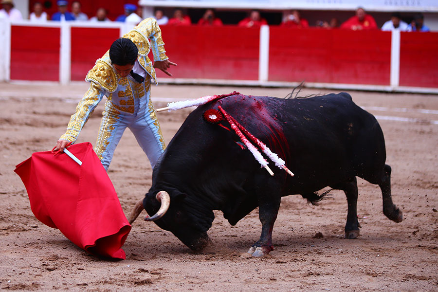 Aguascalientes, sabado 5 de mayo de 2018