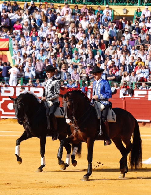 Jerez, Feria del Caballo, 10 de mayo de 2018. Toros de Fermín Bohórquez para Fermín Bohórquez, Pablo Hermoso de Mendoza y Guillermo Hermoso de Mendoza