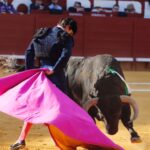 Jerez de la Frontera - Feria del Caballo - Viernes 11 de mayo de 2018