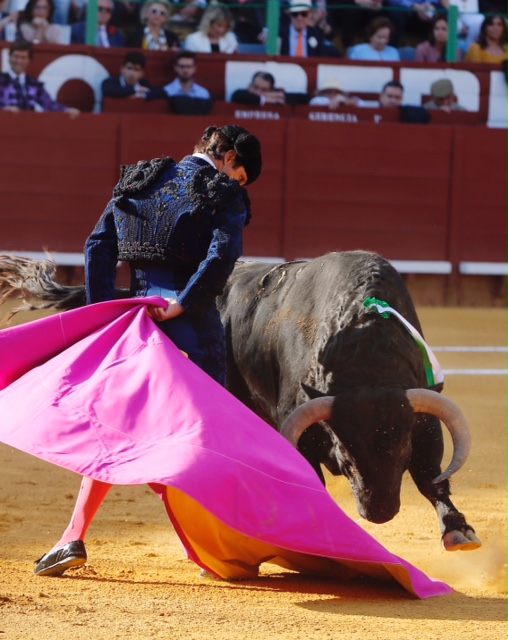 Jerez de la Frontera - Feria del Caballo - Viernes 11 de mayo de 2018