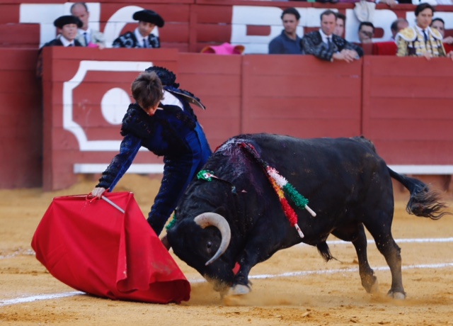 Jerez de la Frontera - Feria del Caballo - Viernes 11 de mayo de 2018